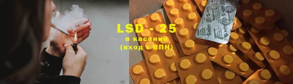 сатива Кукмор