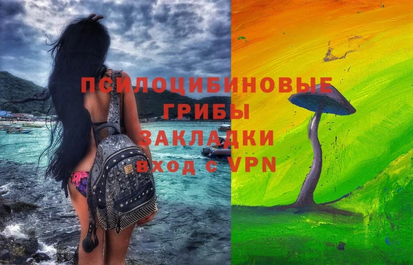 сатива Кукмор
