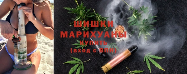 сатива Кукмор