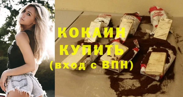сатива Кукмор