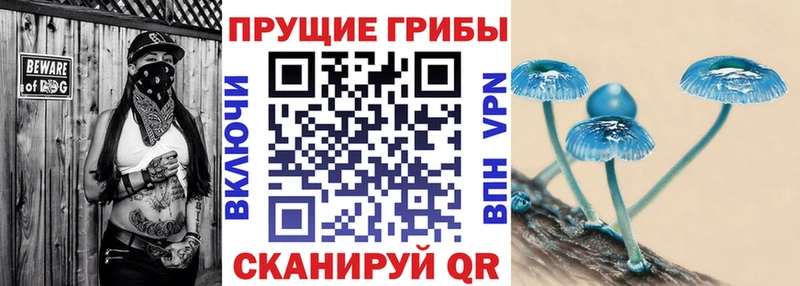 Галлюциногенные грибы Psilocybine cubensis Называевск